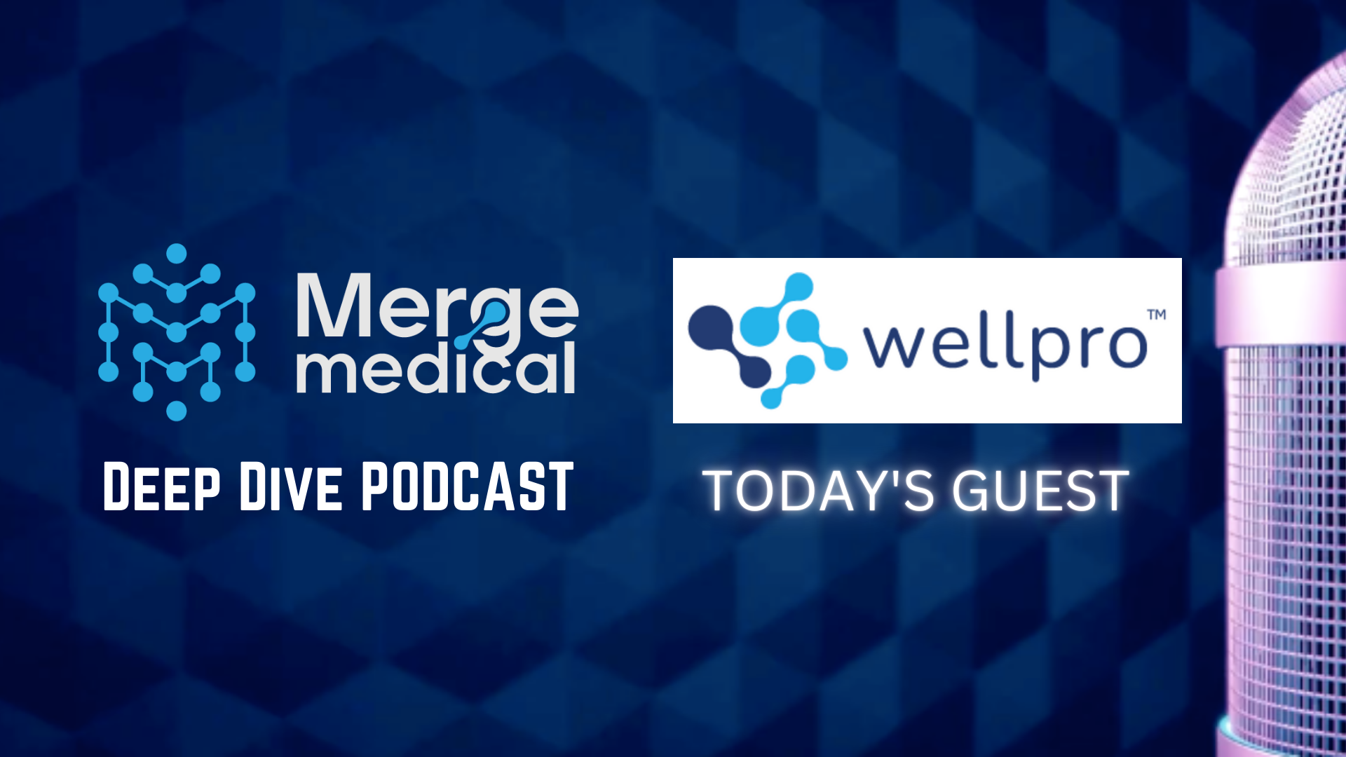 WELLPRO: Deep Dive Podcast. Building an AI-native Intelligent Health Record (IHR) Platform
